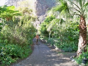 2011 retake of road from garden shed