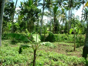 general view 23-46-35