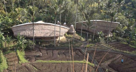 Green School 2010 - rice and classrooms
