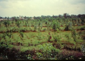 nridiyalingam 18 months later