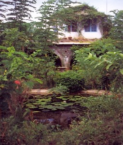 paravayille house + veg + pool