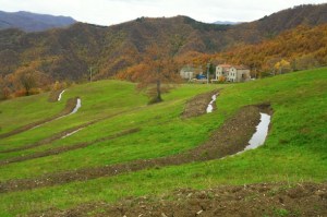 swales full - emilia romagna