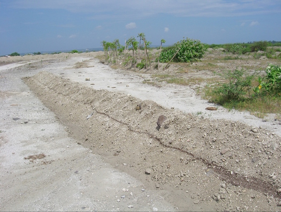 bali- every rain without swales, this organic material would be lost, and the process of regeneration slowed copy
