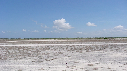 turtle island - almost flat, almost barren