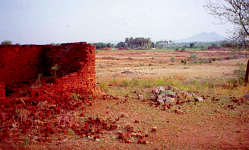 chk farm - wasteland