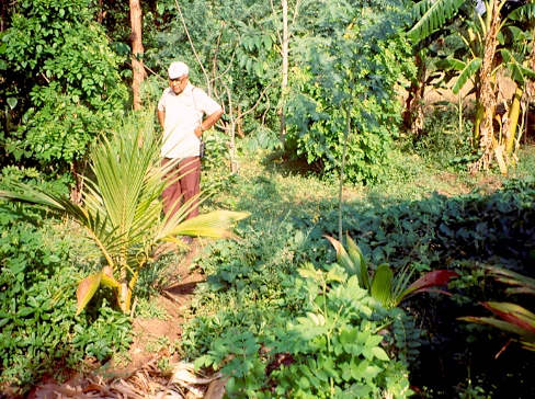 chk farm -z2 2yrs stacked