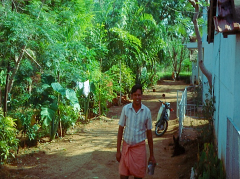 chkfarm diversity 10 yrs